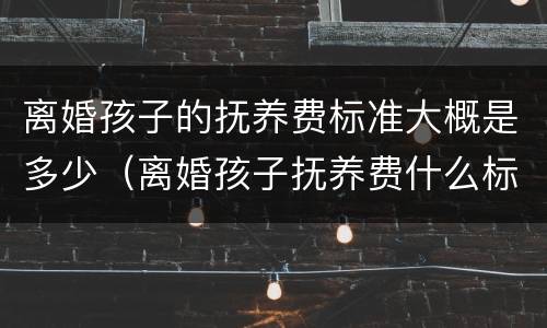 离婚孩子的抚养费标准大概是多少（离婚孩子抚养费什么标准）