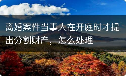 离婚案件当事人在开庭时才提出分割财产，怎么处理