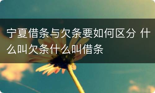 宁夏借条与欠条要如何区分 什么叫欠条什么叫借条