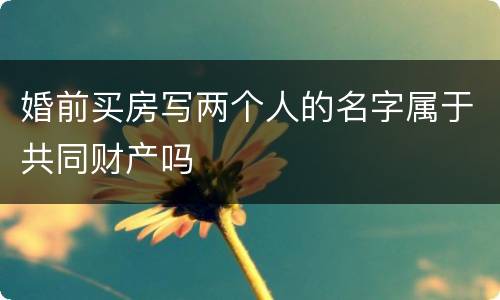 婚前买房写两个人的名字属于共同财产吗