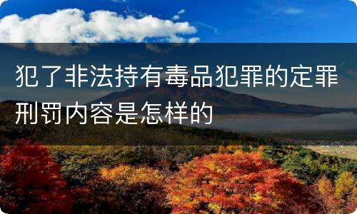 犯了非法持有毒品犯罪的定罪刑罚内容是怎样的