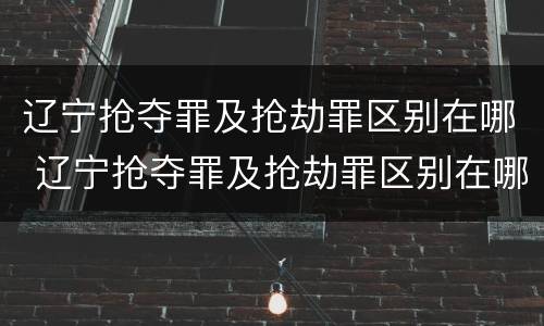辽宁抢夺罪及抢劫罪区别在哪 辽宁抢夺罪及抢劫罪区别在哪里