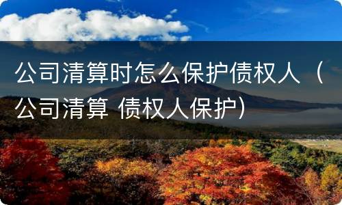 公司清算时怎么保护债权人（公司清算 债权人保护）