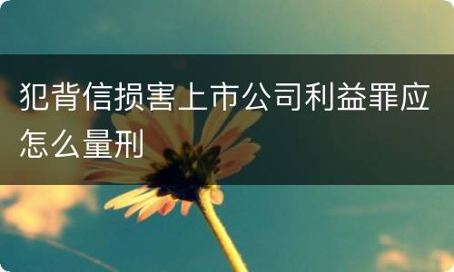 犯背信损害上市公司利益罪应怎么量刑