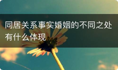 同居关系事实婚姻的不同之处有什么体现