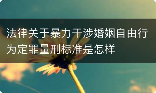法律关于暴力干涉婚姻自由行为定罪量刑标准是怎样