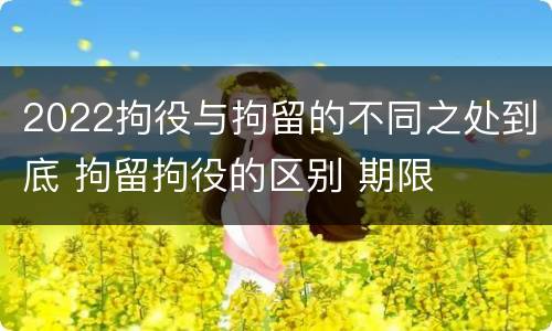 2022拘役与拘留的不同之处到底 拘留拘役的区别 期限