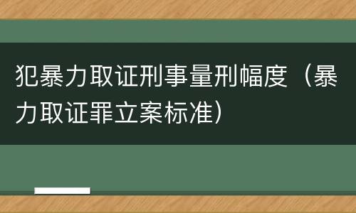 犯暴力取证刑事量刑幅度（暴力取证罪立案标准）