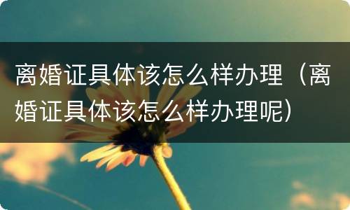 离婚证具体该怎么样办理（离婚证具体该怎么样办理呢）