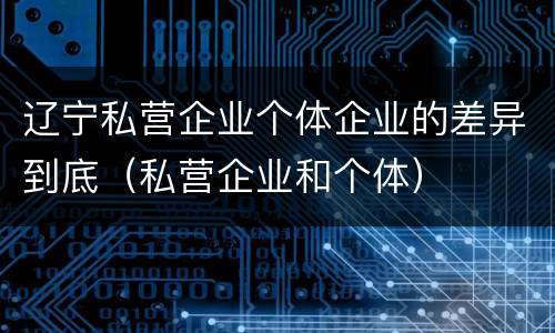 辽宁私营企业个体企业的差异到底（私营企业和个体）