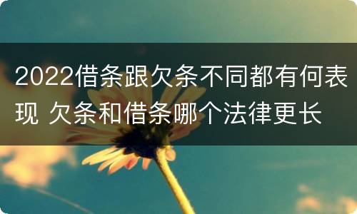 2022借条跟欠条不同都有何表现 欠条和借条哪个法律更长