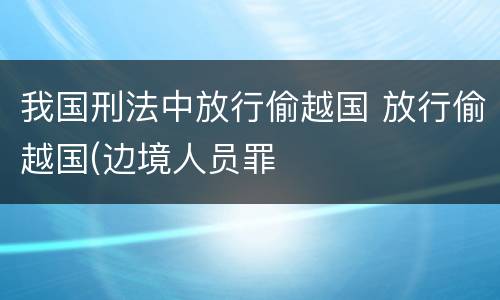 我国刑法中放行偷越国 放行偷越国(边境人员罪