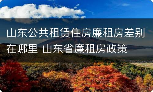 山东公共租赁住房廉租房差别在哪里 山东省廉租房政策