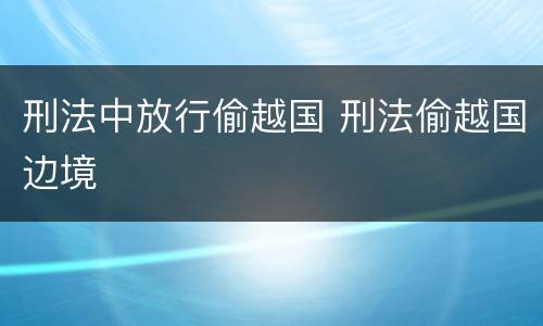 刑法中放行偷越国 刑法偷越国边境
