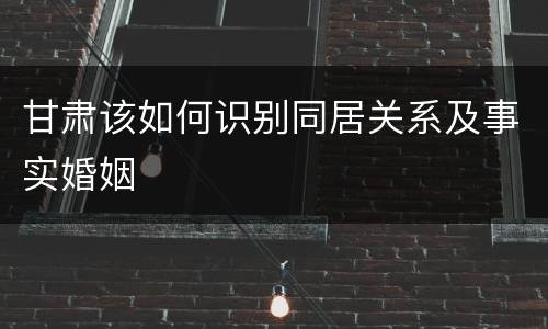 甘肃该如何识别同居关系及事实婚姻