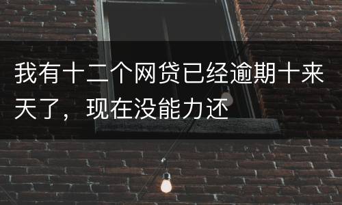 我有十二个网贷已经逾期十来天了，现在没能力还
