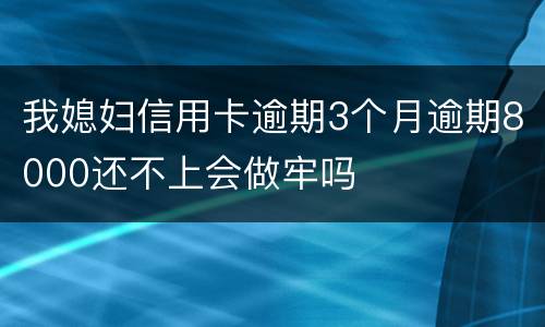 我媳妇信用卡逾期3个月逾期8000还不上会做牢吗