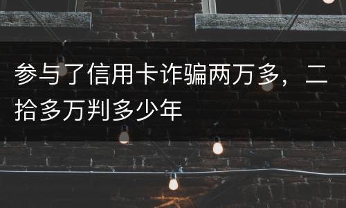 参与了信用卡诈骗两万多，二拾多万判多少年