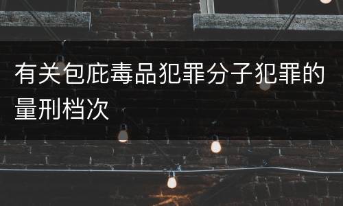 有关包庇毒品犯罪分子犯罪的量刑档次