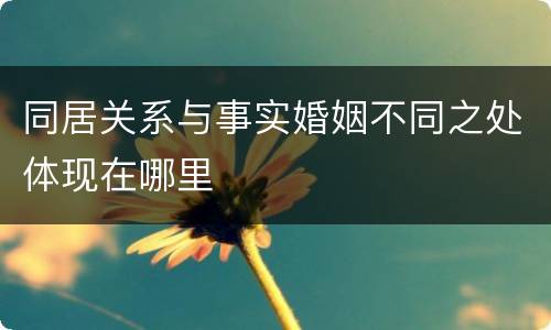 同居关系与事实婚姻不同之处体现在哪里