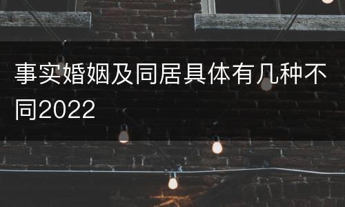 事实婚姻及同居具体有几种不同2022