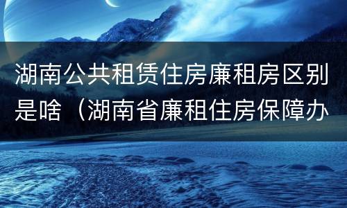湖南公共租赁住房廉租房区别是啥（湖南省廉租住房保障办法）