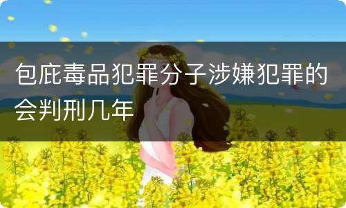 包庇毒品犯罪分子涉嫌犯罪的会判刑几年