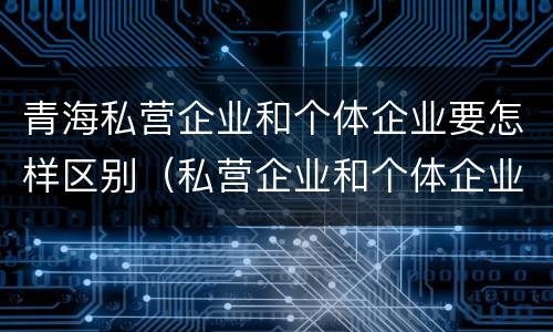 青海私营企业和个体企业要怎样区别（私营企业和个体企业有什么区别）