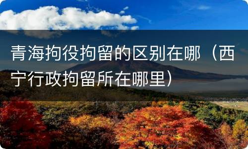 青海拘役拘留的区别在哪（西宁行政拘留所在哪里）
