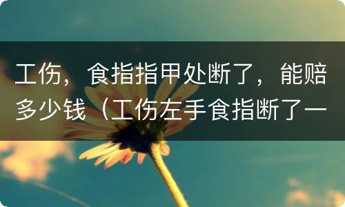 工伤,食指指甲处断了,能赔多少钱(工伤左手食指断了一节赔多少钱)