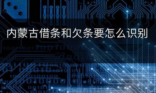 内蒙古借条和欠条要怎么识别