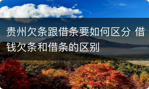 贵州欠条跟借条要如何区分 借钱欠条和借条的区别