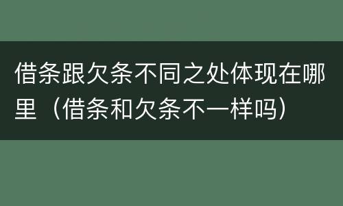 借条跟欠条不同之处体现在哪里（借条和欠条不一样吗）