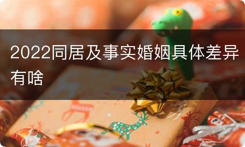 2022同居及事实婚姻具体差异有啥