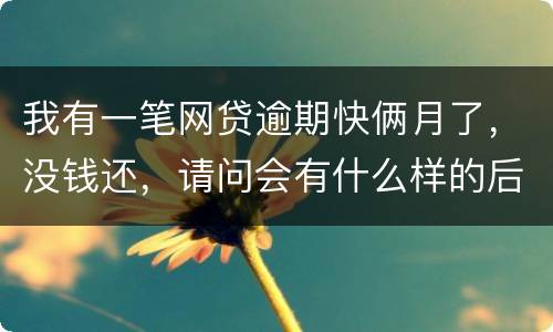 我有一笔网贷逾期快俩月了，没钱还，请问会有什么样的后果