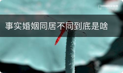 事实婚姻同居不同到底是啥
