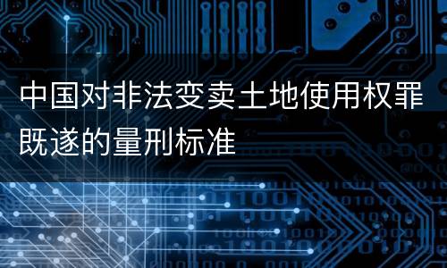 中国对非法变卖土地使用权罪既遂的量刑标准