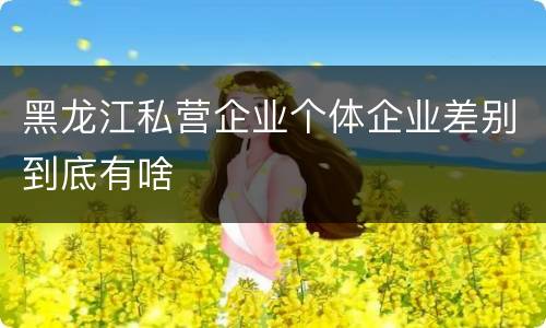 黑龙江私营企业个体企业差别到底有啥