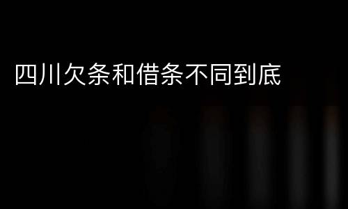 四川欠条和借条不同到底