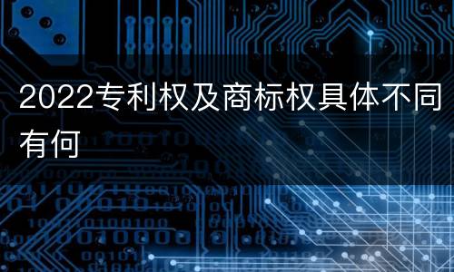 2022专利权及商标权具体不同有何