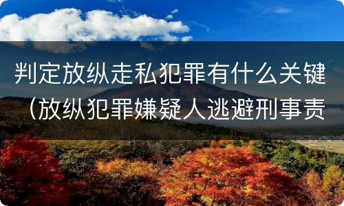 判定放纵走私犯罪有什么关键（放纵犯罪嫌疑人逃避刑事责任）