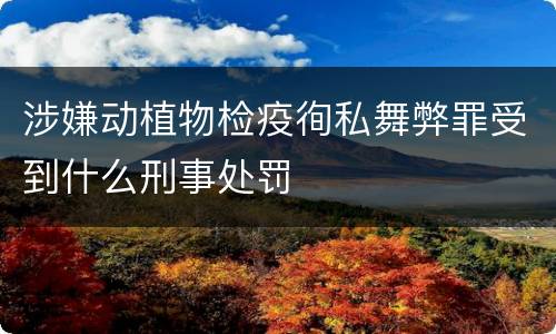 涉嫌动植物检疫徇私舞弊罪受到什么刑事处罚