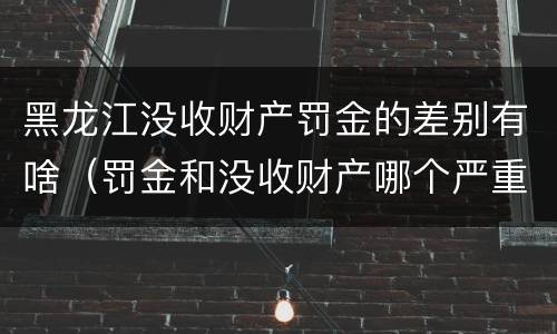 黑龙江没收财产罚金的差别有啥（罚金和没收财产哪个严重）