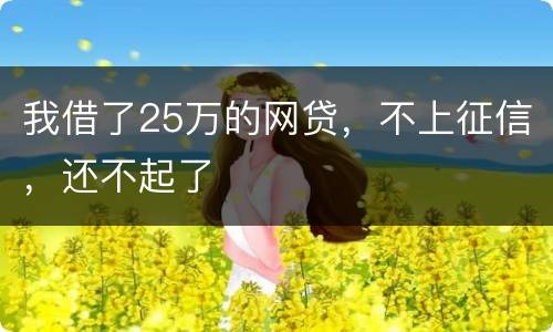 我借了25万的网贷，不上征信，还不起了