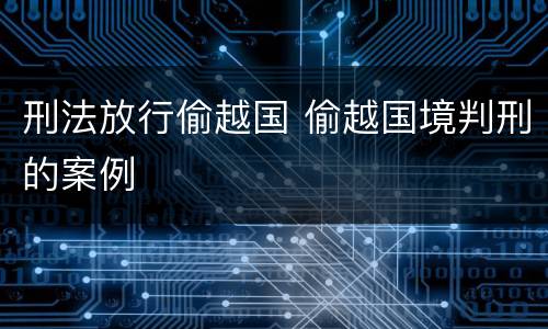 刑法放行偷越国 偷越国境判刑的案例