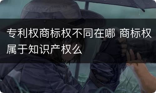 专利权商标权不同在哪 商标权属于知识产权么