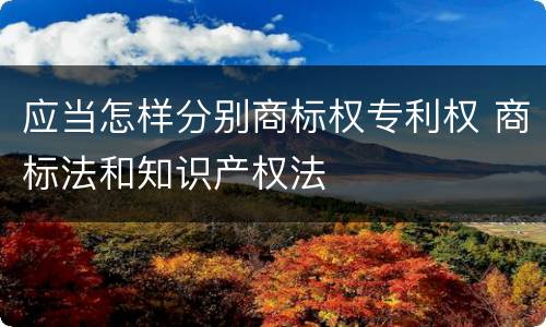 应当怎样分别商标权专利权 商标法和知识产权法