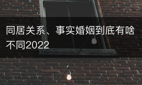 同居关系、事实婚姻到底有啥不同2022
