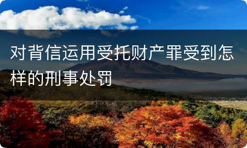 对背信运用受托财产罪受到怎样的刑事处罚