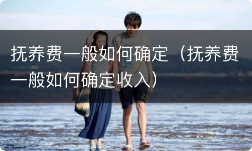 抚养费一般如何确定（抚养费一般如何确定收入）